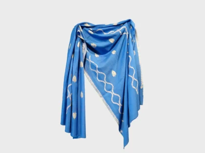 Pure Pashmina shawl in blue with hand embroidery vine and floral motifs by PashmCraft