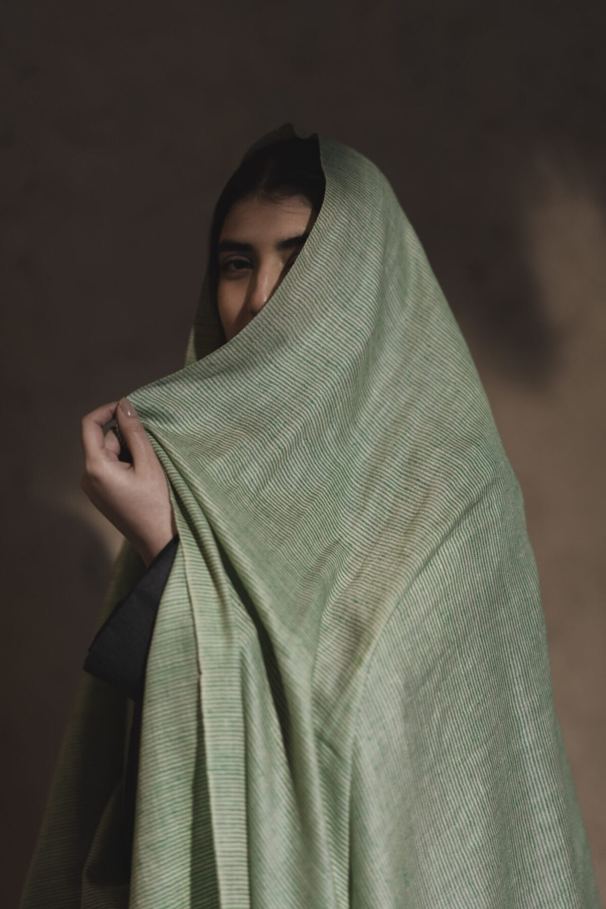 Pure Pashmina Shawl in Green Stripes