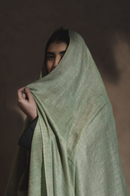 Pure Pashmina Shawl in Green Stripes