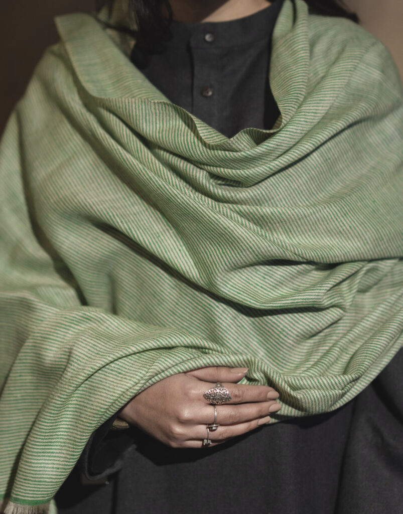 Pure Pashmina Shawl in Green Stripes