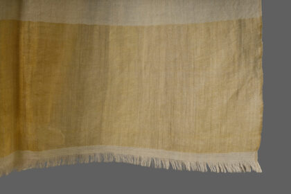 Pure Pashmina Scarf Zari Border in Gold Color