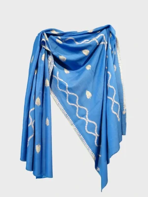 Pure Pashmina shawl in blue with hand embroidery vine and floral motifs by PashmCraft